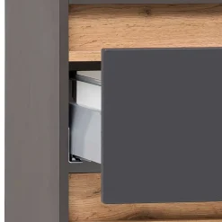 Wohnen 40x185x35 Bad Hochschrank in Grau mit Wildeiche - Agiruan