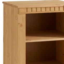 Wohnen 55x100x35 Hochkommode mit zwei Fächern - Silevos