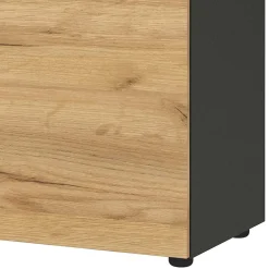 Wohnen Büroschränke*80x120x40 Office Vertiko in Wildeiche Optik - Contrage