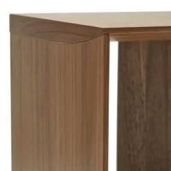 Wohnen 101x38x30 Regel Element in Nussbaum Furnier - Lician