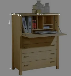 Wohnen 85x110x43 Schrank mit Schreibklappe - Settsura