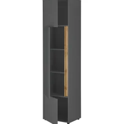 Wohnen 50x200x40 3-türiger Schrank in Anthrazit - Ahilav