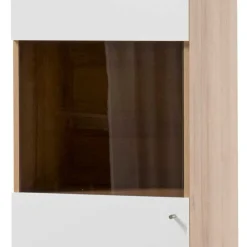 Wohnen 50x197x40 Wohnzimmer Schrank mit Glas - Cablos I