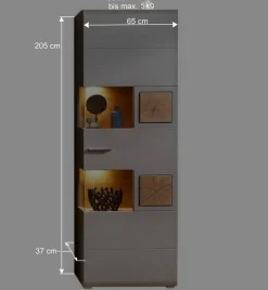 Wohnen 65x205x37 Wohnzimmerschrank mit Glaseinsätzen - Fraguca I