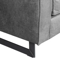 Wohnen Sofas|Sofa*Zweisitzer Wohnzimmer Sofa mit Kufen aus Metall - Comoto